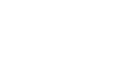 Product image with a clear background